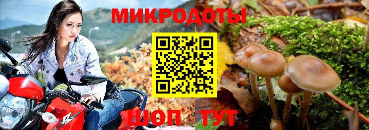 Галлюциногенные грибы Magic Shrooms Дзержинский
